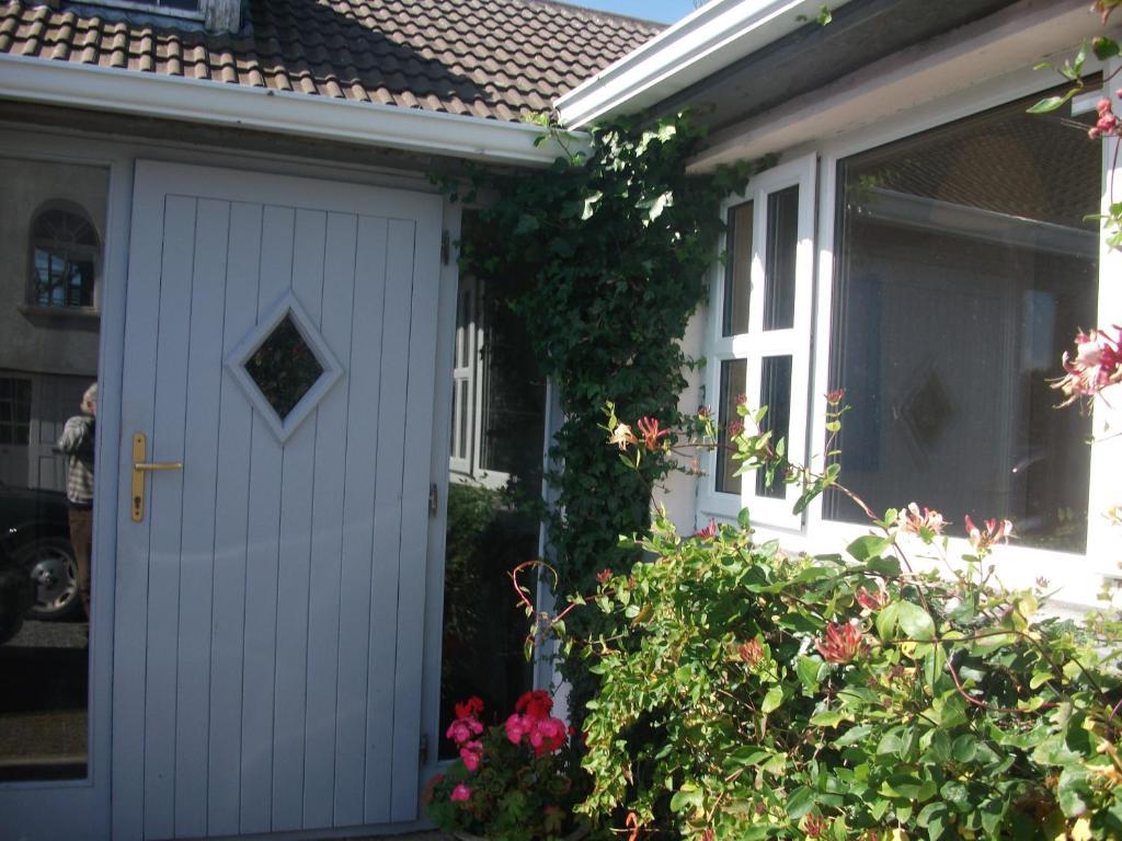 Fuchsia House Bed And Breakfast Connemaraレンバイル エクステリア 写真