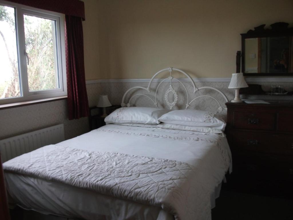 Fuchsia House Bed And Breakfast Connemaraレンバイル エクステリア 写真