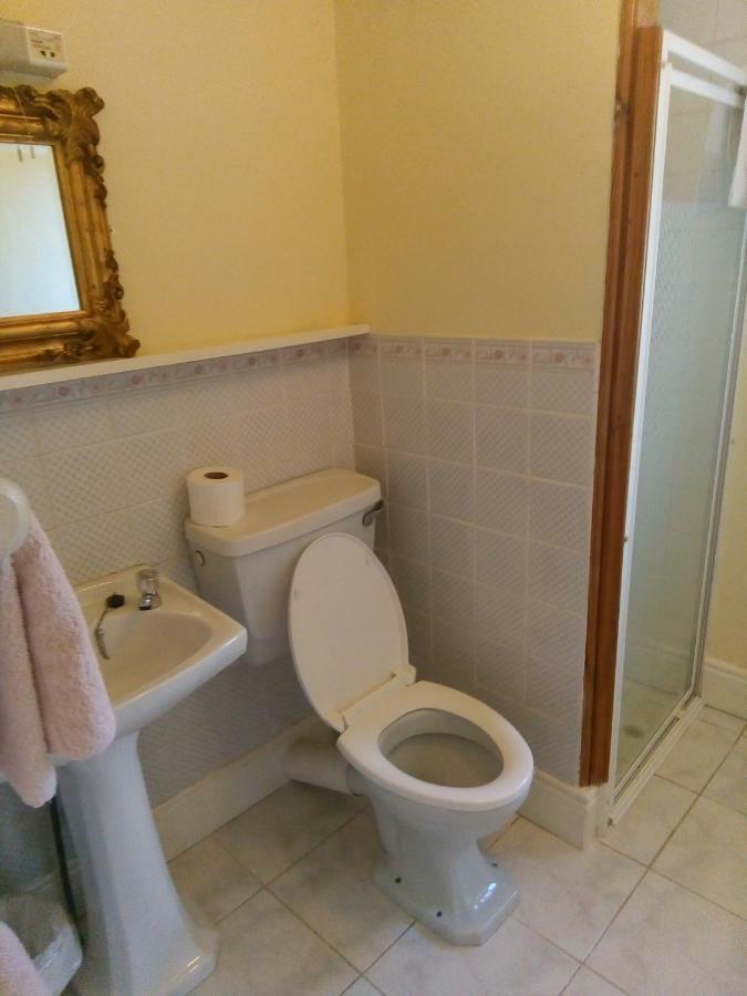 Fuchsia House Bed And Breakfast Connemaraレンバイル エクステリア 写真